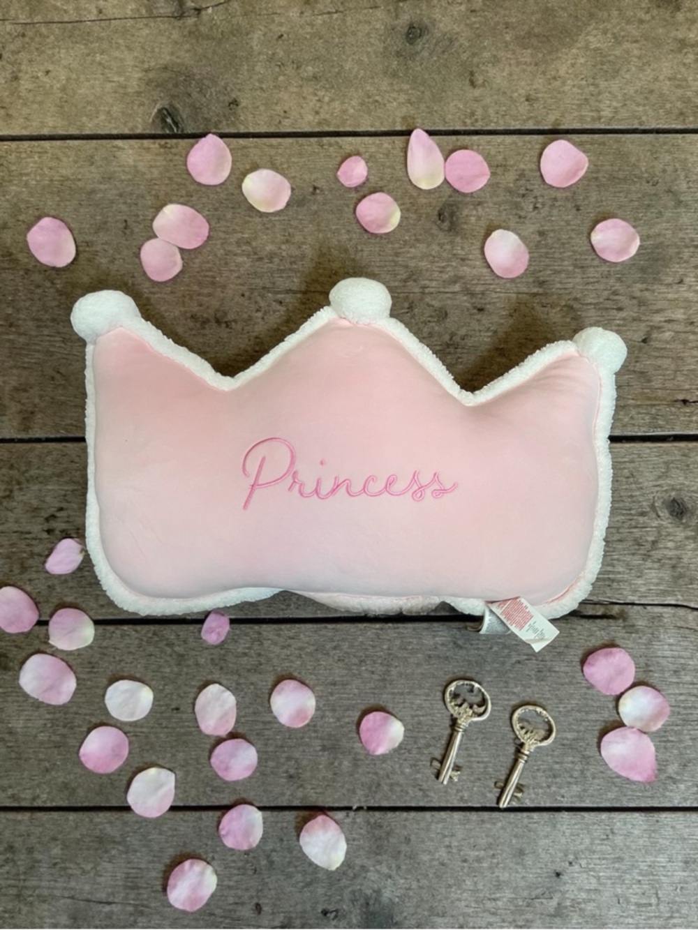 Disney Princess Pink Plush Pillow